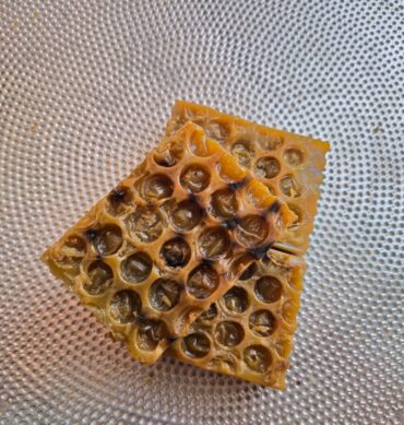 HERBAL UBTAN SOAP